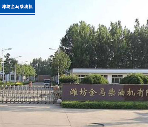 潍坊6686体育官网下载柴油机有限公司